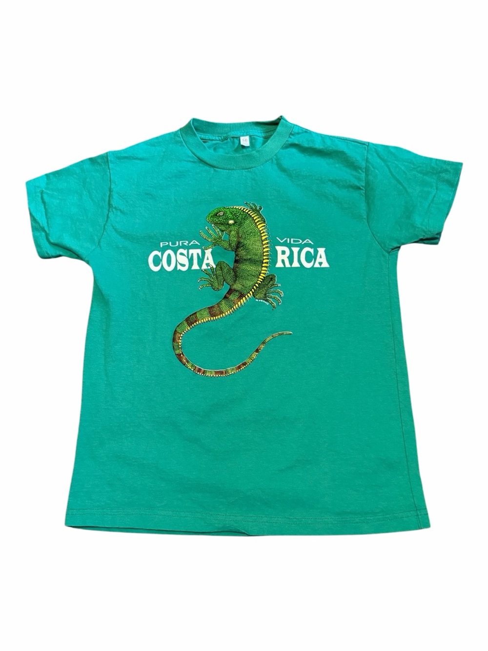 Costa Rica Pura Vida Green Iguana Reptile T-Shirt Youth Size 16